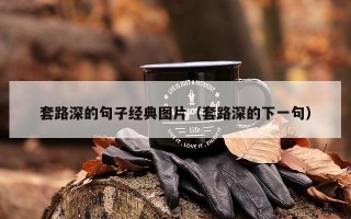 套路深的句子经典图片（套路深的下一句）