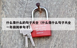 什么像什么的句子大全（什么像什么句子大全一年级简单句子）