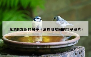 清理朋友圈的句子（清理朋友圈的句子图片）