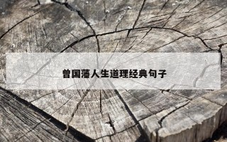 曾国藩人生道理经典句子