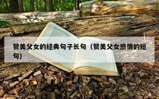 赞美父女的经典句子长句（赞美父女感情的短句）