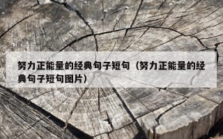 努力正能量的经典句子短句（努力正能量的经典句子短句图片）