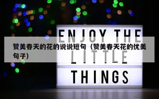 赞美春天的花的说说短句（赞美春天花的优美句子）