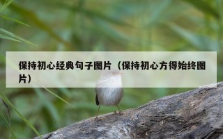 保持初心经典句子图片（保持初心方得始终图片）