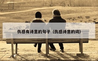伤感有诗意的句子（伤感诗意的词）