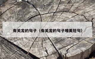 有关龙的句子（有关龙的句子唯美短句）