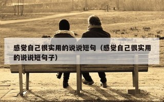 感觉自己很实用的说说短句（感觉自己很实用的说说短句子）