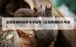 总结离婚的经典句子短句（总结离婚的几句话）