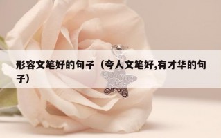 形容文笔好的句子（夸人文笔好,有才华的句子）