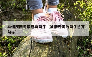 被情所困粤语经典句子（被情所困的句子想开句子）