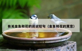 有关金鱼和花的说说短句（金鱼和花的寓意）