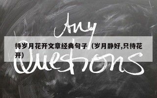 待岁月花开文章经典句子（岁月静好,只待花开）