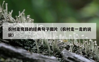 农村走弯路的经典句子图片（农村走一走的说说）