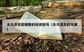 太久没见后相聚的说说短句（太久没见的文案）