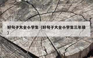 好句子大全小学生（好句子大全小学生三年级）