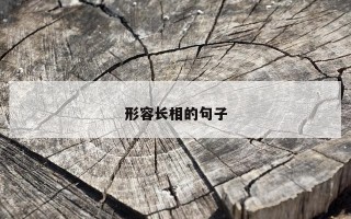 形容长相的句子