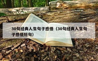 30句经典人生句子感悟（30句经典人生句子感悟短句）