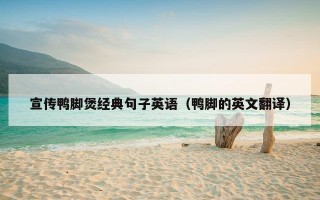 宣传鸭脚煲经典句子英语（鸭脚的英文翻译）