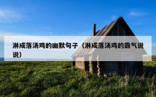 淋成落汤鸡的幽默句子（淋成落汤鸡的霸气说说）
