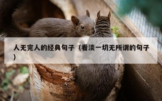 人无完人的经典句子（看淡一切无所谓的句子）