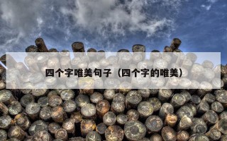 四个字唯美句子（四个字的唯美）