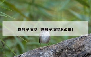 选句子填空（选句子填空怎么做）