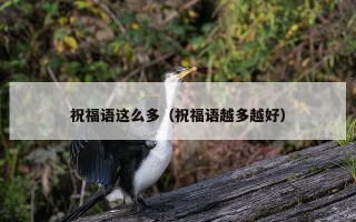 祝福语这么多（祝福语越多越好）