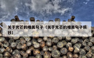 关于光芒的唯美句子（关于光芒的唯美句子摘抄）