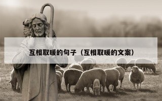 互相取暖的句子（互相取暖的文案）