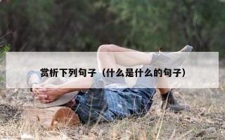 赏析下列句子（什么是什么的句子）