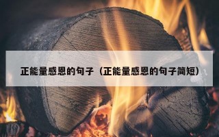 正能量感恩的句子（正能量感恩的句子简短）