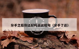 分手之后你还好吗说说短句（分手了还）