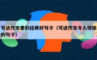 写进作文里的经典好句子（写进作文令人惊艳的句子）