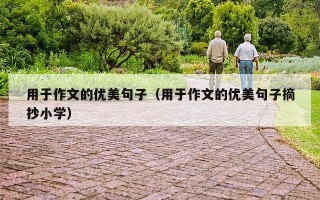 用于作文的优美句子（用于作文的优美句子摘抄小学）