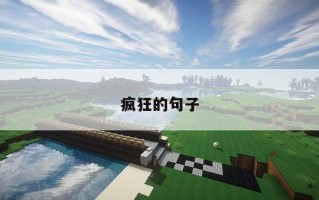 疯狂的句子