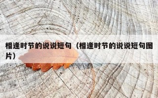相逢时节的说说短句（相逢时节的说说短句图片）