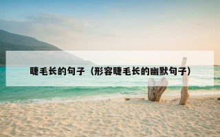 睫毛长的句子（形容睫毛长的幽默句子）
