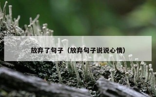 放弃了句子（放弃句子说说心情）