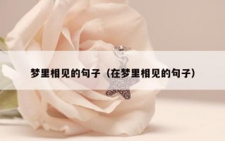 梦里相见的句子（在梦里相见的句子）