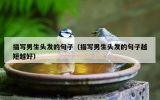 描写男生头发的句子（描写男生头发的句子越短越好）