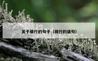 关于骑行的句子（骑行的语句）