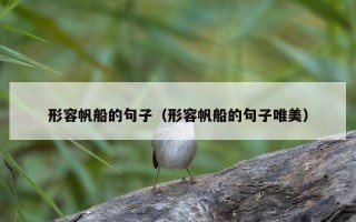 形容帆船的句子（形容帆船的句子唯美）