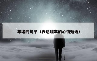 车堵的句子（表达堵车的心情短语）
