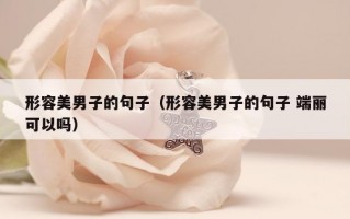 形容美男子的句子（形容美男子的句子 端丽可以吗）