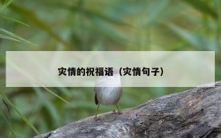 灾情的祝福语（灾情句子）