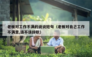 老板对工作不满的说说短句（老板对自己工作不满意,该不该辞职）