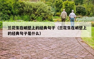 兰花生在峭壁上的经典句子（兰花生在峭壁上的经典句子是什么）