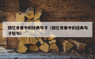 回忆青春中的经典句子（回忆青春中的经典句子短句）