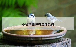 心境情感障碍是什么病 心境情感障碍是什么病