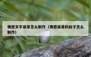 情感文字语录怎么制作（情感语录的段子怎么制作）